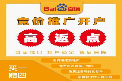百度竞价排名服务助力：某品牌迅速占领市场